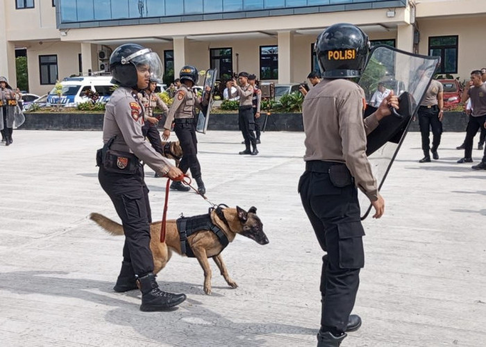 Luna Maya Bekerja untuk Polisi, Jadi Andalan Ditsamapta Polda Kaltim Hadapi Aksi Massa
