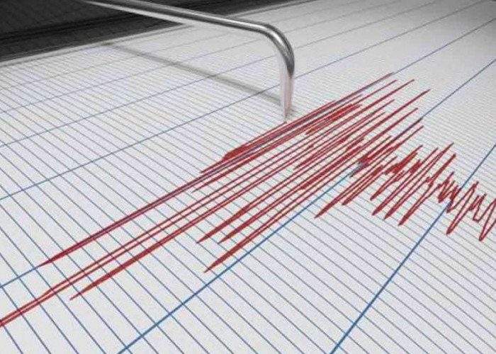 Gempa Bumi M 3,7 Guncang Kabupaten Naganraya, Aceh 