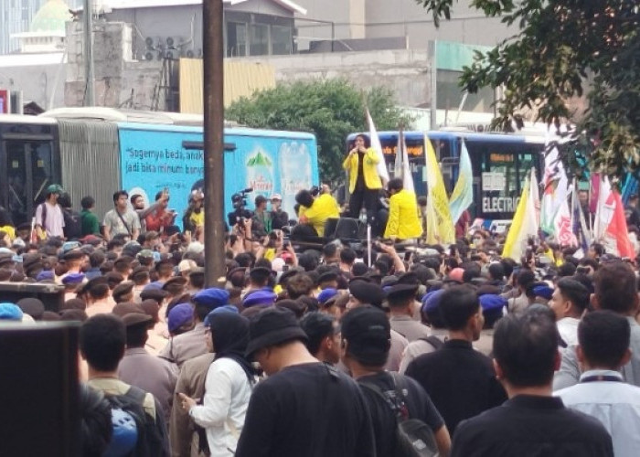 BEM UI Hari Ini Demo soal Karhutla, Berikut Ini 9 Tuntutannya