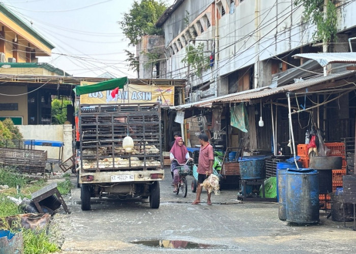 MBG Picu Inflasi di Samarinda, Harga Ayam Ikut Naik 