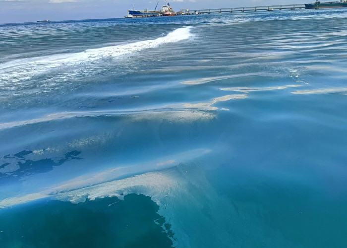 Laut Pulau Miang Diduga Tercemar Limbah Perusahaan Sawit, Warga Temukan Lapisan Minyak di Permukaan Air 