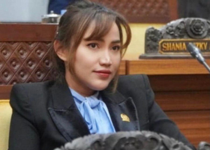 Celni Pita Sari Pimpin DPW NasDem Kaltim