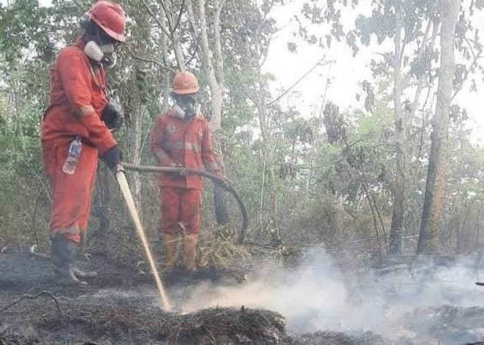 Meski Terdapat Ratusan Titik Api, Kaltim Tak Masuk Prioritas Nasional Penanggulangan Karhutla