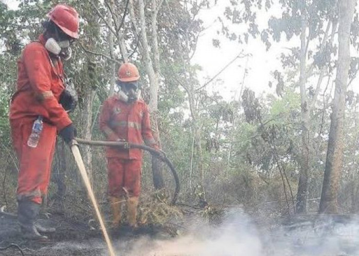 5 Daerah Rawan Asap Jadi Prioritas Distribusi Masker Dinkes Kaltim