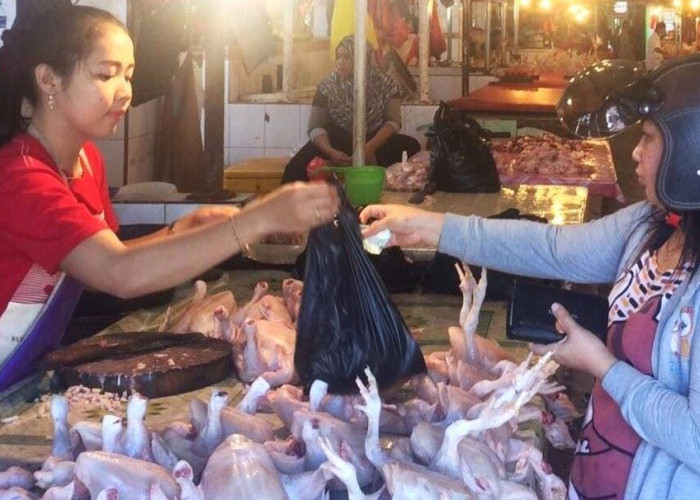 Sasar 39 Ribu Pelaku Usaha di PPU, BPS Jamin Data Sensus Ekonomi 2026 Rahasia dan Bebas Pajak