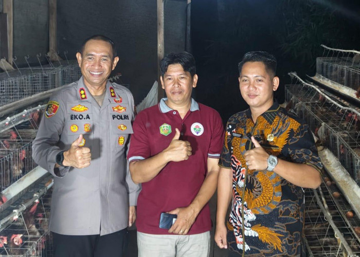 Kampung Lutan di Mahulu Fokus Kembangkan Budidaya Ayam Petelur dan Sayur Mayur 