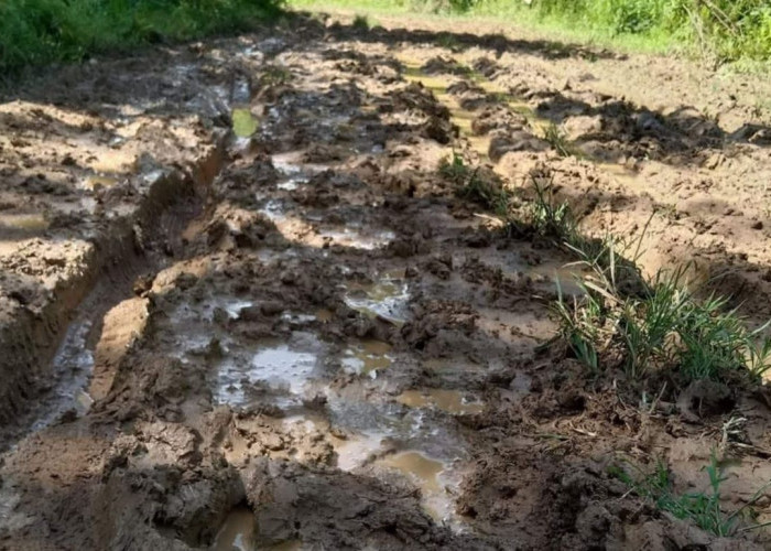 Jalan Muara Kalaq ke Melak Rusak Parah, 10 Tahun Tak Tersentuh Pembangunan