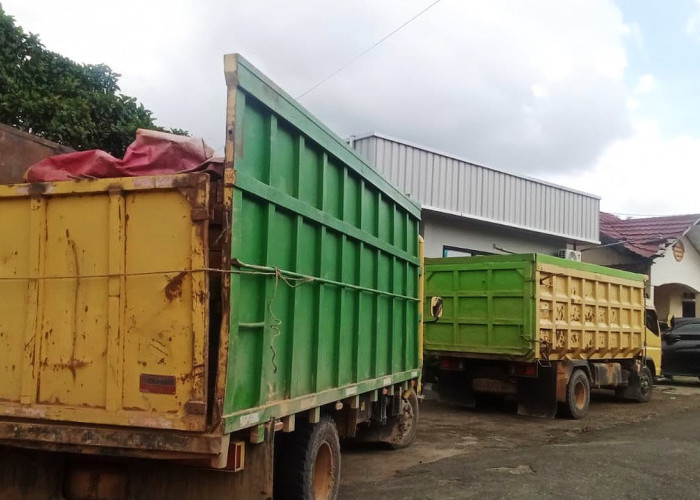 Polhut Amankan 2 Truk Bermuatan Kayu Ulin Ilegal di Kubar, Pengusaha Masih Didalami