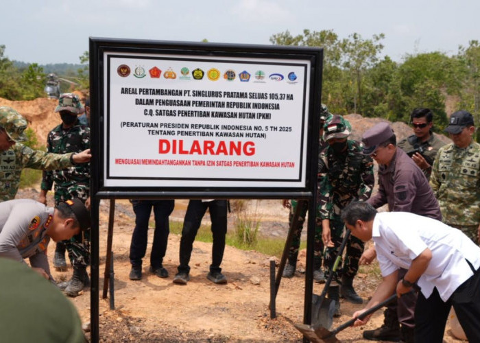 Ditambang Tanpa Izin, Satgas PKH Kembali Kuasai 111, 71 Ha Lahan Hutan di Tahura