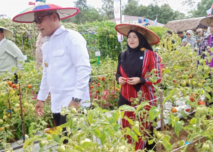 PEDA KTNA XI Kaltim di Kubar, Wagub: Demplot Teknologi Bekal Hadapi Penas 2026