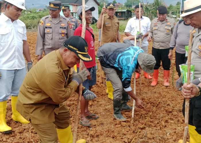 Dukung Ketahanan Pangan Nasional, Polres Mahulu Gelar Tanam Jagung Serentak