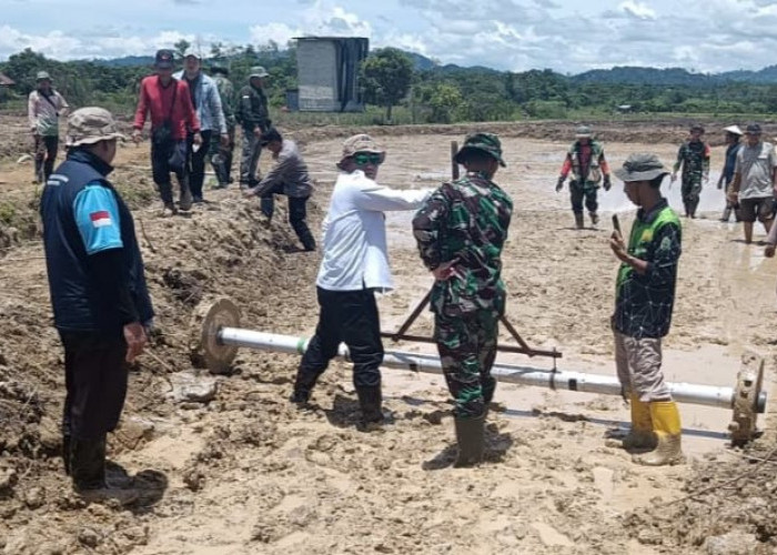 DPRD Mahulu Dorong Pengembangan Padi Sawah Diperkuat