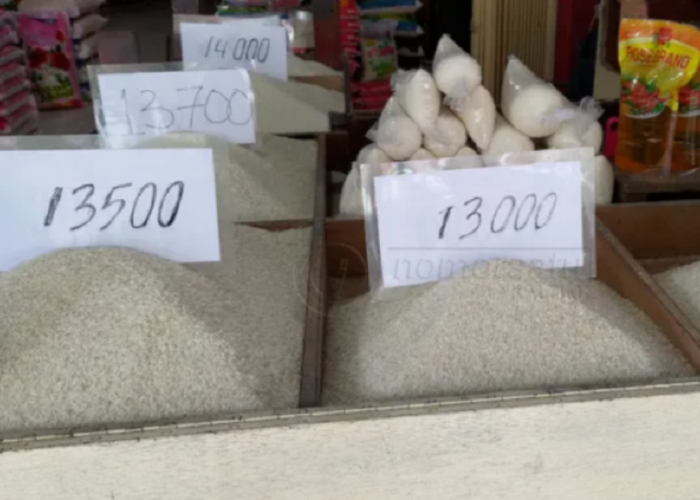 Harga Beras Naik, Pemerintah Bagi-Bagi Rice Cooker