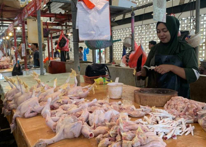 Harga Pangan di Balikpapan Mulai Naik, Pasokan Seret dan Permintaan Meningkat