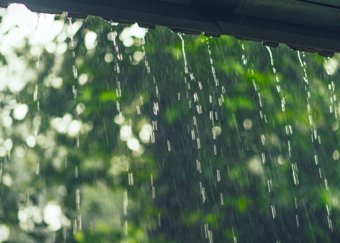 Ramalan Cuaca Kaltim dan IKN, 4 Maret 2026, Cek di Sini!