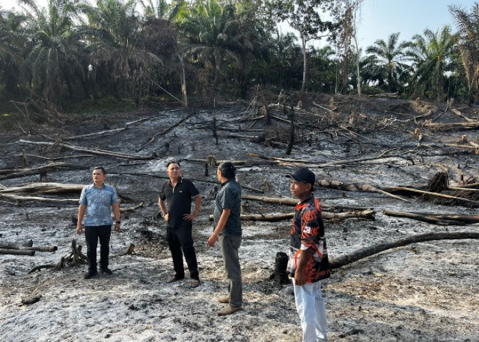 Bakar Lahan Berdalih Pupuk Alami, Dua Warga Asal PPU Langsung Ditangkap Polisi 