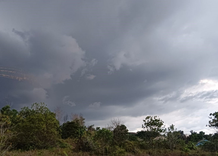 Ramalan Cuaca Kaltim dan IKN, 25 November 2025, Sejumlah Wilayah Berpotensi Hujan!