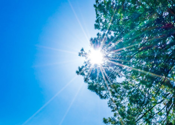 Ramalan Cuaca Kaltim dan IKN, 2 Oktober 2026, Suhu Udara Capai 34 Derajat Celcius!