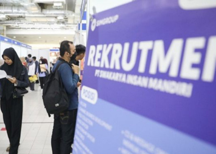 Ada 383 Pelamar di Pameran Bursa Kerja PPU, Data Tenaga yang Terserap Tunggu Laporan Perusahaan