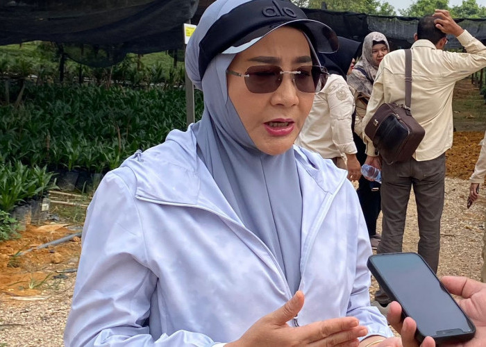 Bupati Berau Dorong Kemandirian Perajin, Terasi Lokal Ditarget Tembus Nasional