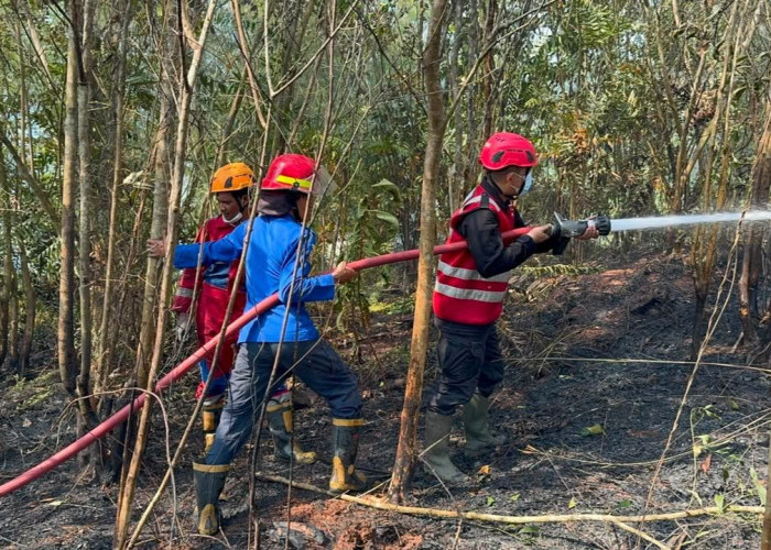 Karhutla di Balikpapan Capai 28 Titik, Penyebabnya Bukan Aktivitas Buka Lahan tapi Dipicu Hal Ini