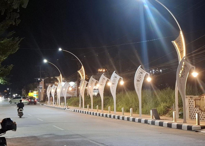 PJU Tumpang Tindih di Jalan Diponegoro 'Disemprit' Bupati Sri, Begini Penjelasan Dishub Berau