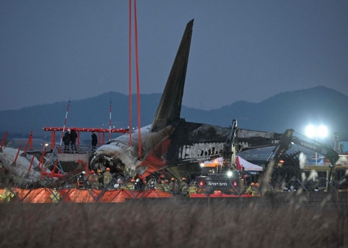 Tabrakan Burung Berakibat Fatal, 179 Orang Tewas dalam Kecelakaan Pesawat Jeju Airlines