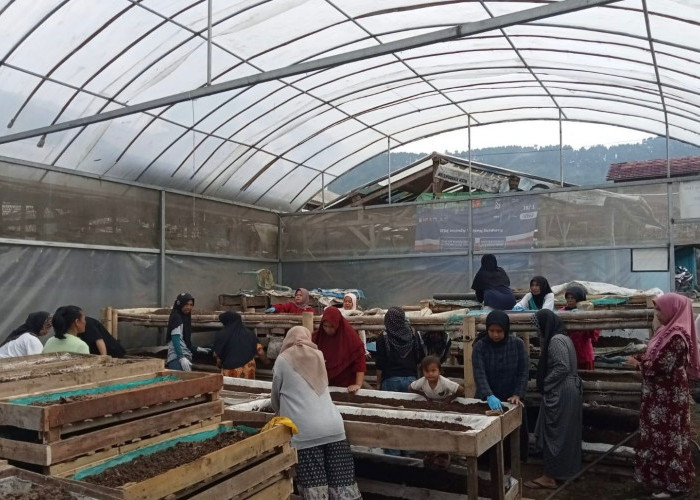 Nasabah PNM Mekaar di Bandung Barat Kembangkan Usaha lewat Sinergi Ultra Mikro BRI