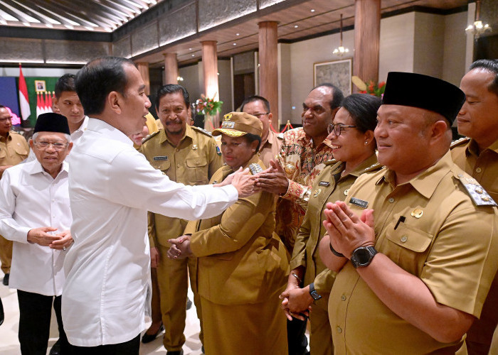 Wabup Gamalis Terima Arahan dari Presiden Jokowi