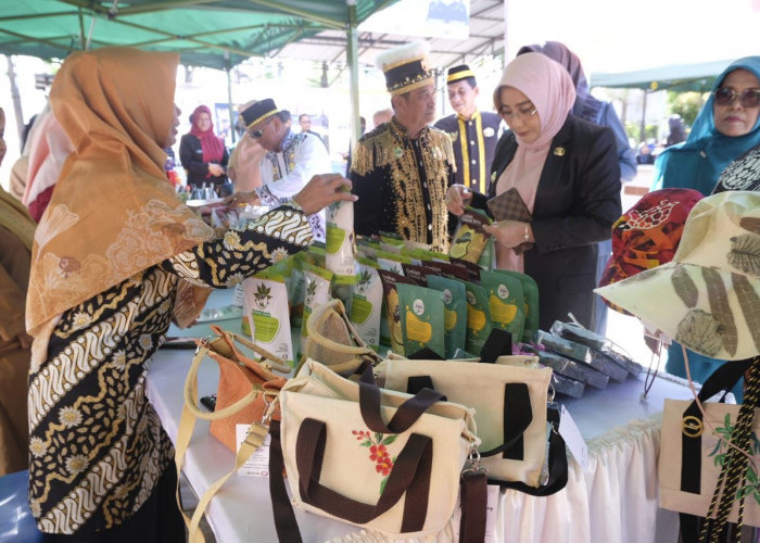 Perkuat Promosi UMKM dan Produk Lokal, Diperlukan Sinergi Antara Perbankan dan Swasta