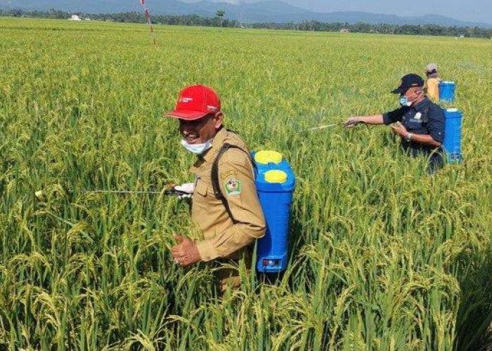 Bantuan Alsintan Kini Dipusatkan di Kementan, Seno Aji: Pemprov Tak Lagi Menyalurkan Secara Langsung