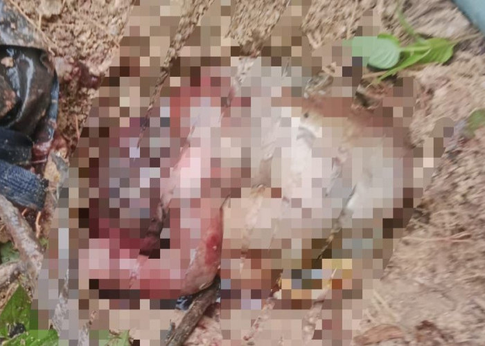 Jasad Bayi Ditemukan di Pinggir Jalan Gg Komando Sangatta, Polisi Minta Rekaman CCTV 