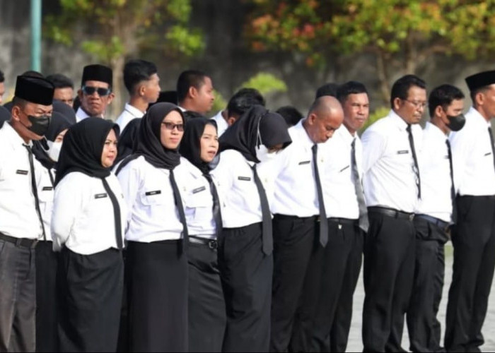 Pemkab PPU Siapkan Rp70 Miliar untuk Gaji Ribuan PPPK Paruh Waktu