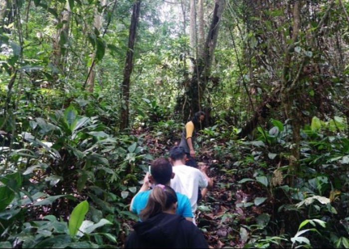 Integrasi Data untuk Mempercepat Pengakuan Wilayah Adat di Kaltim
