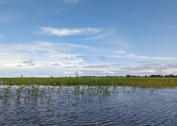 Momen Libur Panjang, Pemprov Ajak Masyarakat Ramaikan Wisata Lokal