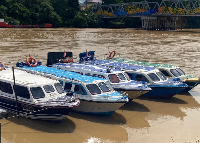 Perketat Pengawasan Transportasi Laut, Dishub Berau Anggarkan Rp 10 Miliar untuk Pengadaan GPS Speedboat