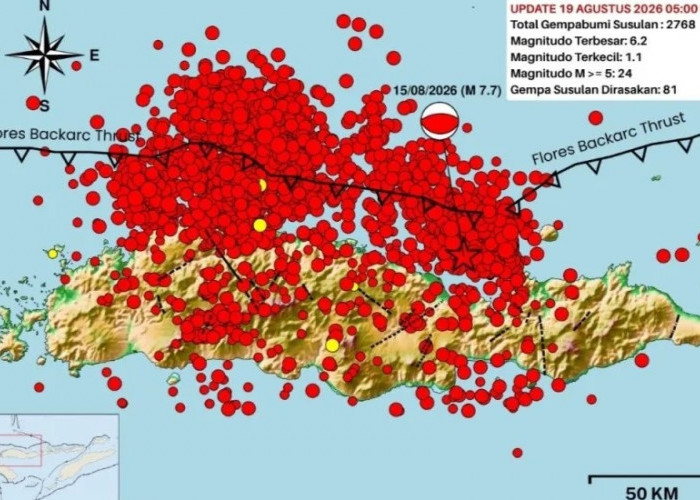 Aktivitas Gempa NTT Belum Mereda, 2.768 Susulan Tercatat hingga 19 Agustus