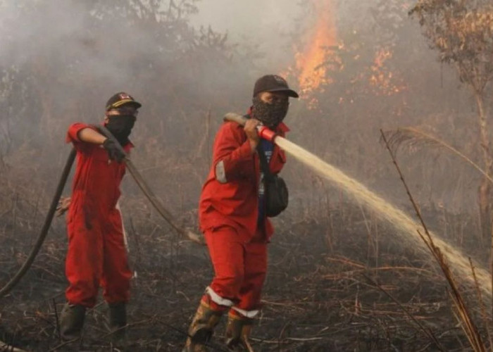 Titik Panas atau Hospot di Paser Mayoritas Terdeteksi di Wilayah Pertambangan