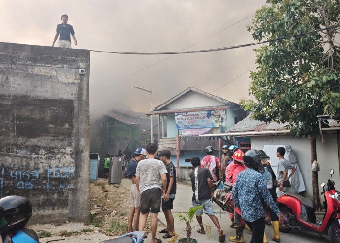 Kebakaran Wolter Monginsidi Samarinda, 12 Rumah Terbakar dan 48 Warga Terdampak