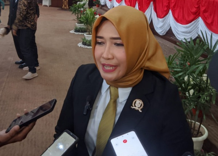 Jumiati Dorong Pemkab Perhatikan Kesejahteraan Guru Honorer