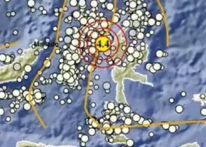 Gempa Berkekuatan M 4,7 Guncang Halmahera Barat Laut Dini Hari Tadi