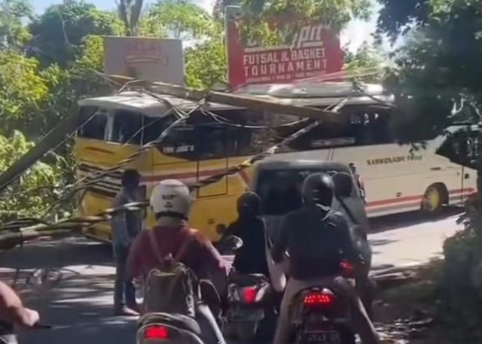 Kecelakaan Bus Study Tour Kembali Terjadi, Kini Dialami oleh Rombongan SMP 3 Depok Sleman di Bali