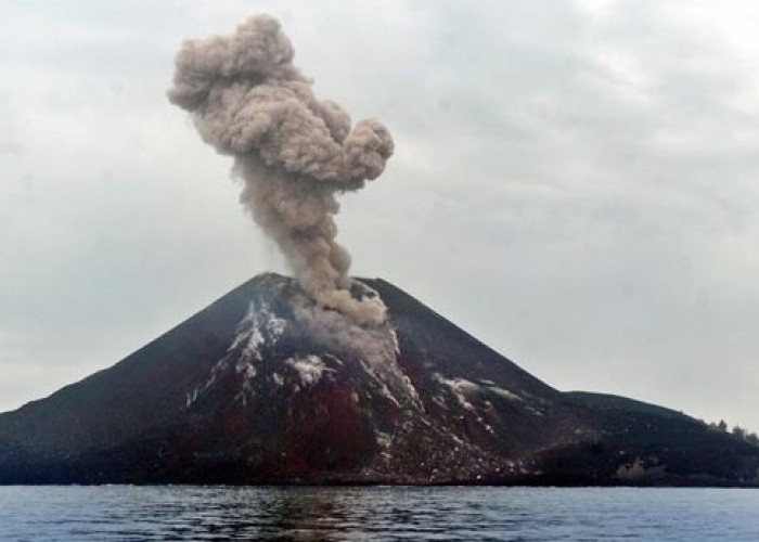 Abu Vulkanik Mengepul Setinggi 450 Meter, Gunung Anak Krakatau Erupsi Hari Ini