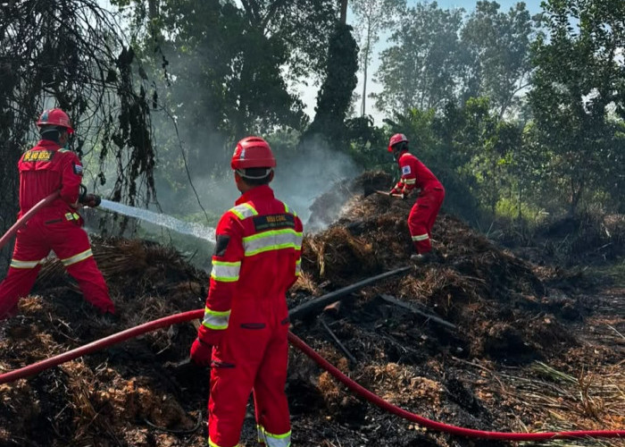 Berau Coal Kerahkan Tim Emergency Response Group Padamkan Karhutla 