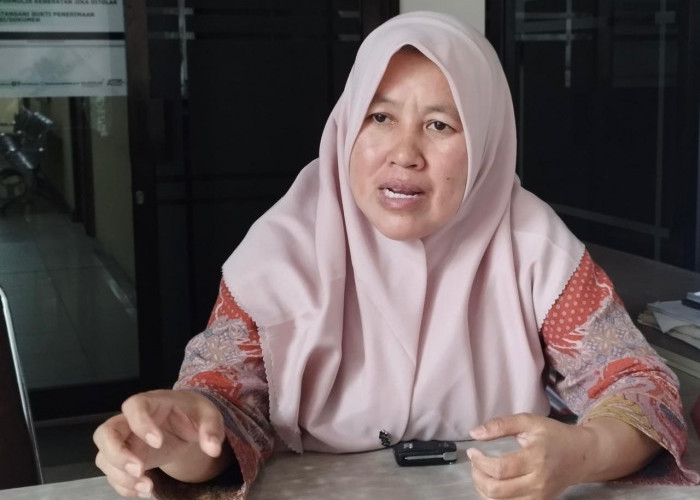 DPMPTSP PPU Sebut PT Silog Telah Lakukan Sinkronisasi OSS