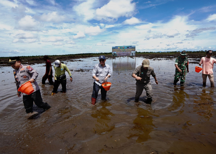 Lahan 201 Hektare di Paser Disiapkan untuk Program Swasembada Pangan