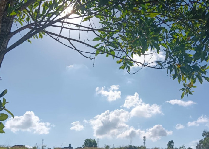 Ramalan Cuaca Kaltim dan IKN, 25 Juni 2026, Cek di Sini!