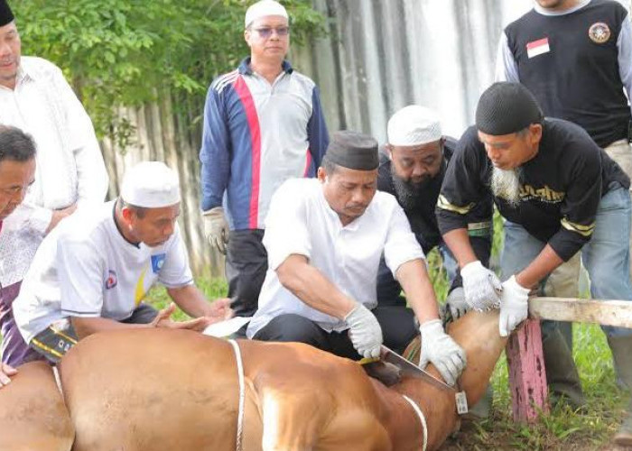 Dokter Kulit Ingatkan Risiko Infeksi Saat Penyembelihan Kurban, Petugas Diminta Gunakan Pelindung Diri