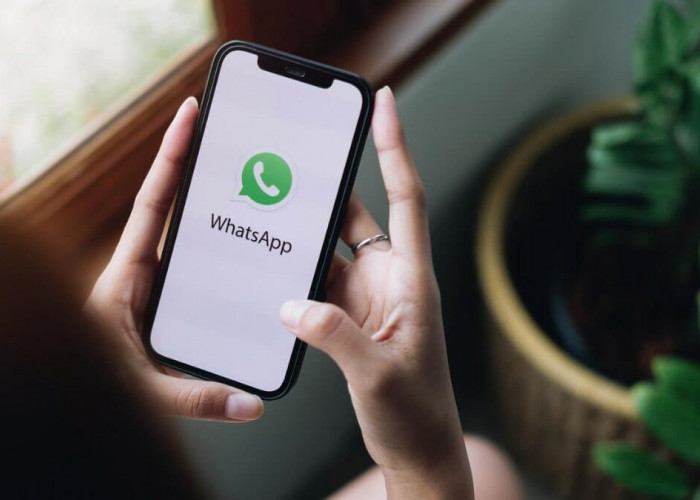 WhatsApp Hapus Layanan Back Up Unlimited, Pengguna akan Dikenakan Tarif Perbulan