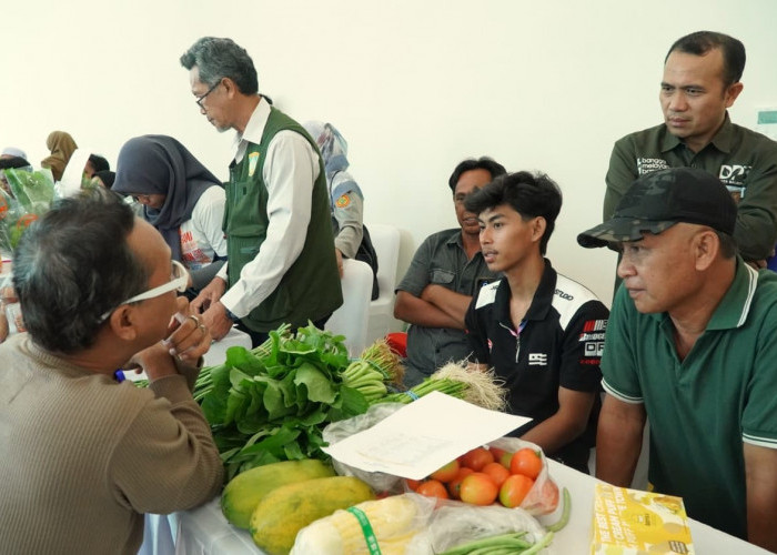Antisipasi Inflasi, TPID Balikpapan Siapkan Skema Pasokan Pangan Lokal untuk MBG
